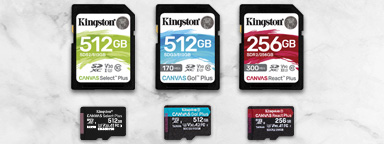 SD and microSD cards of various speed classes