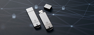 Dispositivo USB Kingston IronKey S1000