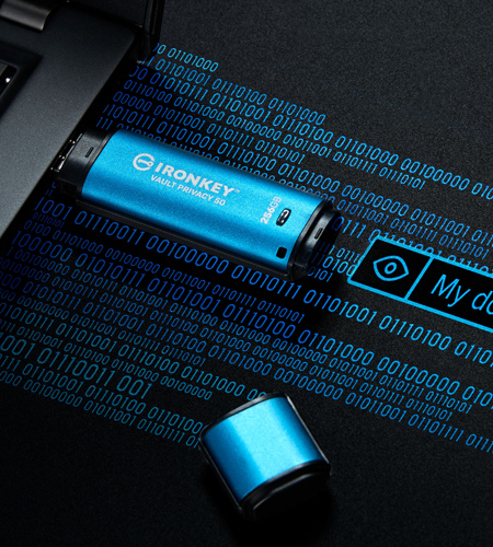 노트북에 꽂혀 있는 Kingston IronKey Vault Privacy 50 USB 드라이브. 드라이브 아래에 파란색 이진 문자와 'My dog is 1 year old!’라는 문구가 있는 암호 입력란이 표시됩니다.