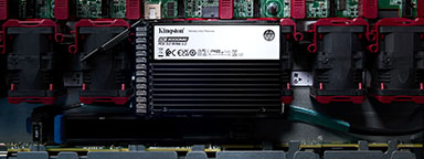 主板上安装着一块 Kingston DC3000ME PCIe Gen5 NVMe 固态硬盘。