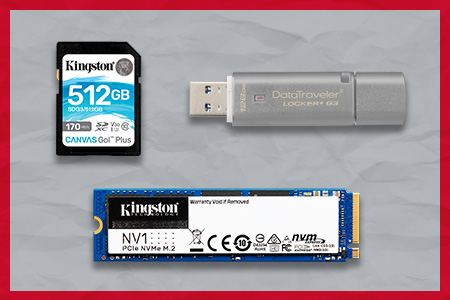 Естественные науки USB-накопитель DT Locker G3, твердотельный накопитель NV1 SSD и карта памяти Canvas Go от компании Kingston! А также карта памяти microSD.
