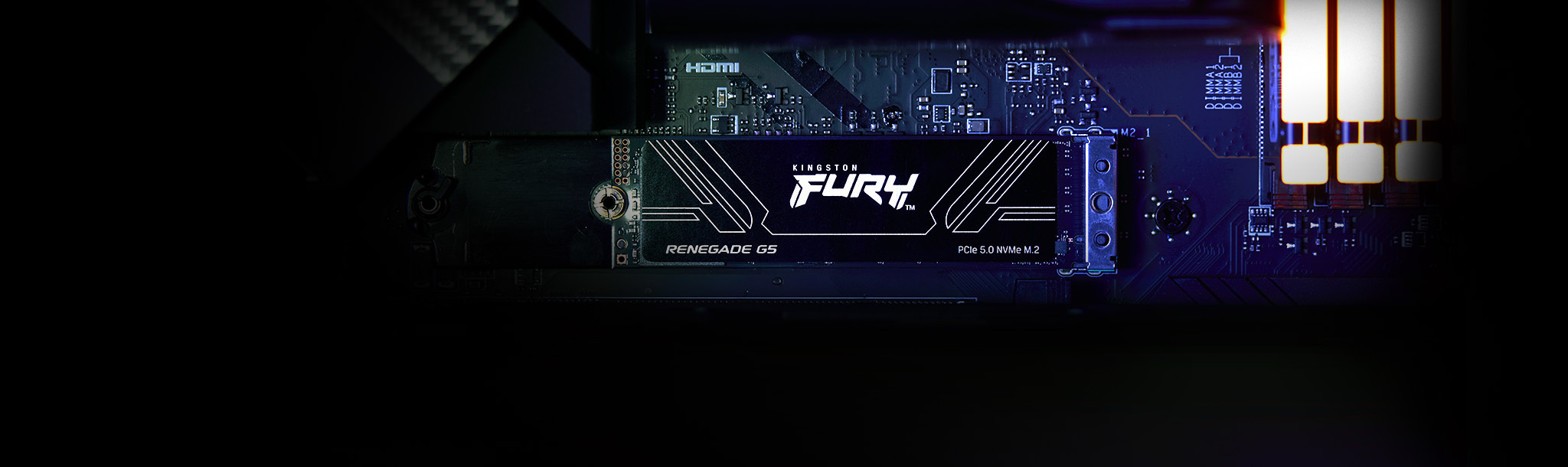 Kingston FURY Renegade G5 installed in a motherboard